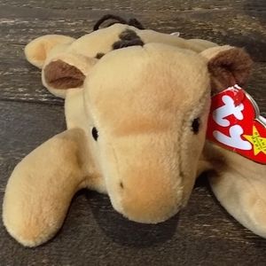 Derby Beanie baby